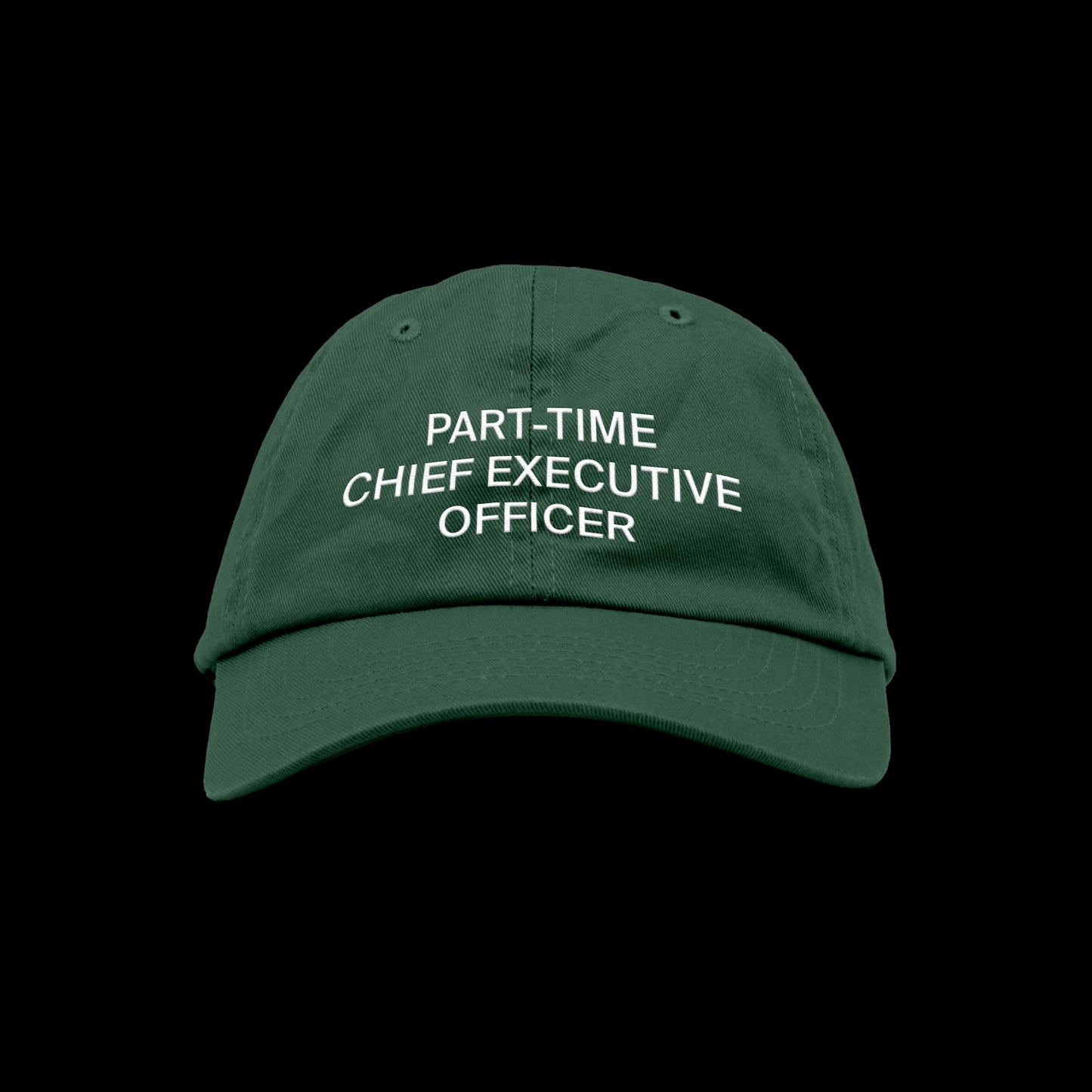 PART-TIME CHIEF EXECUTIVE OFFICER