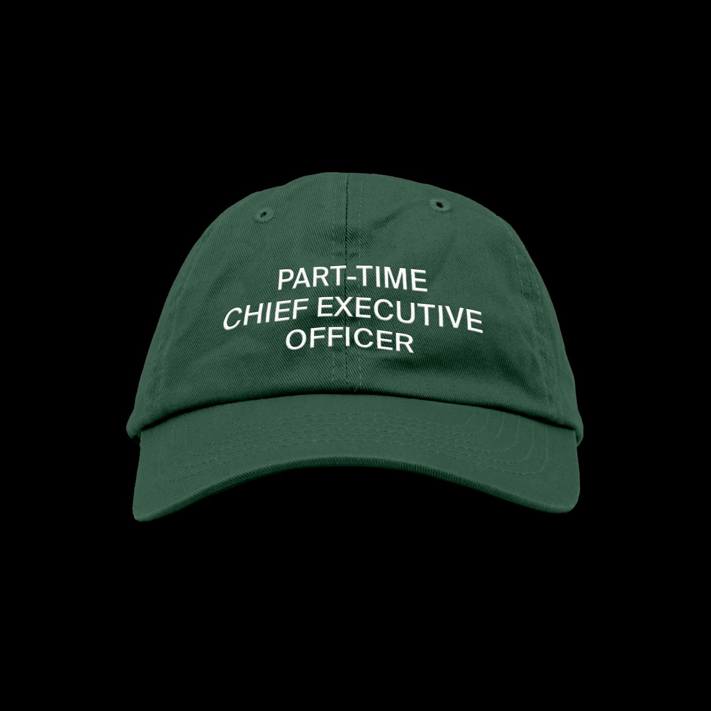PART-TIME CEO